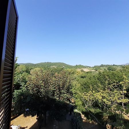 Villa Le Palmine Palazzone Εξωτερικό φωτογραφία