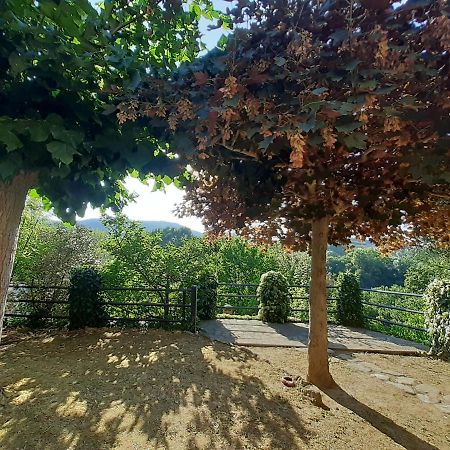 Villa Le Palmine Palazzone Εξωτερικό φωτογραφία