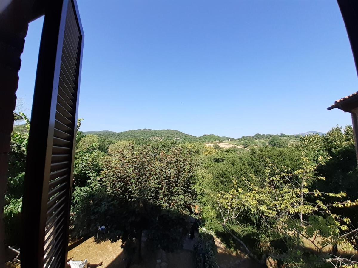 Villa Le Palmine Palazzone Εξωτερικό φωτογραφία