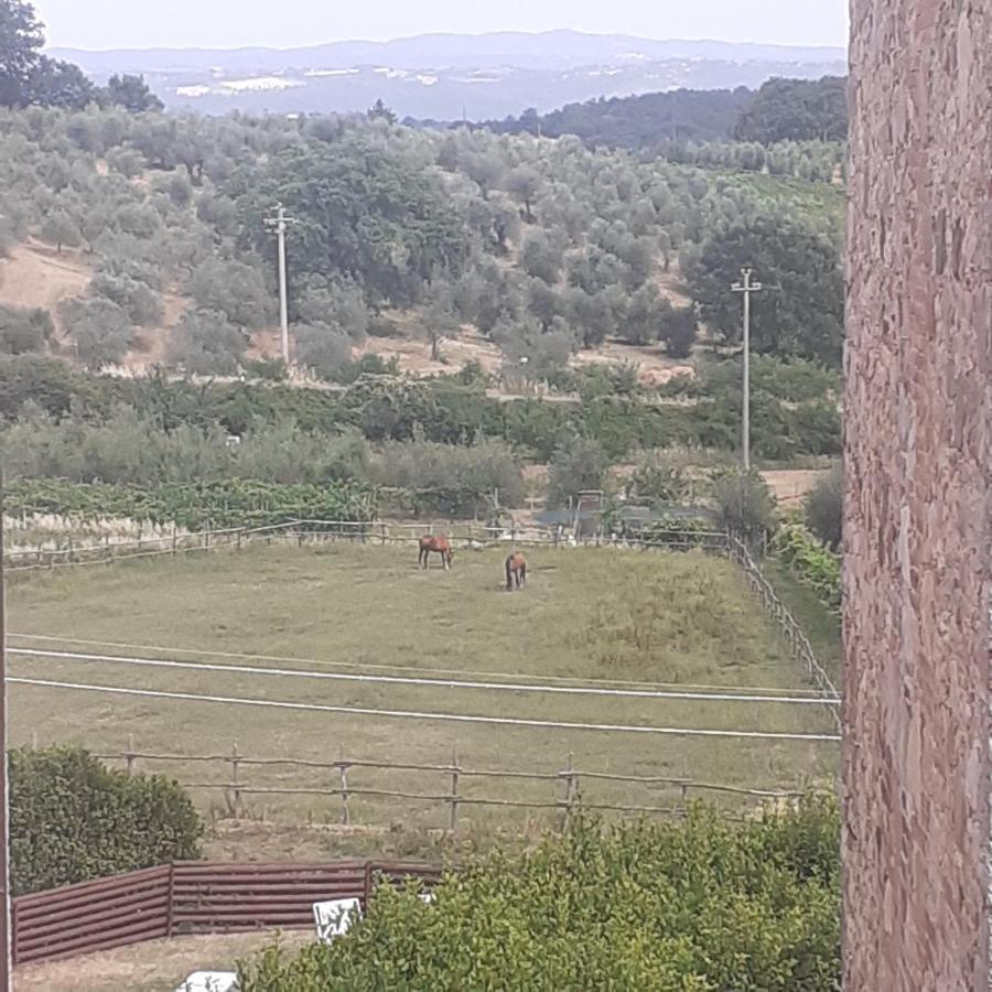 Villa Le Palmine Palazzone Εξωτερικό φωτογραφία