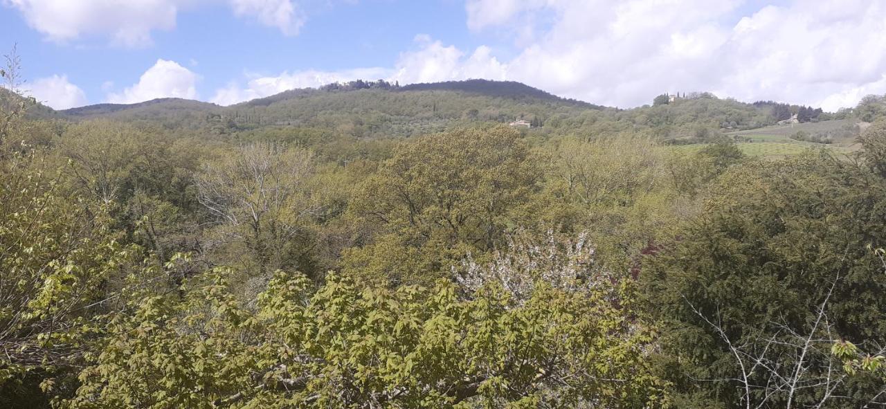 Villa Le Palmine Palazzone Εξωτερικό φωτογραφία