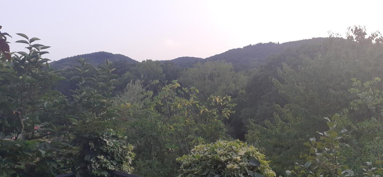 Villa Le Palmine Palazzone Εξωτερικό φωτογραφία