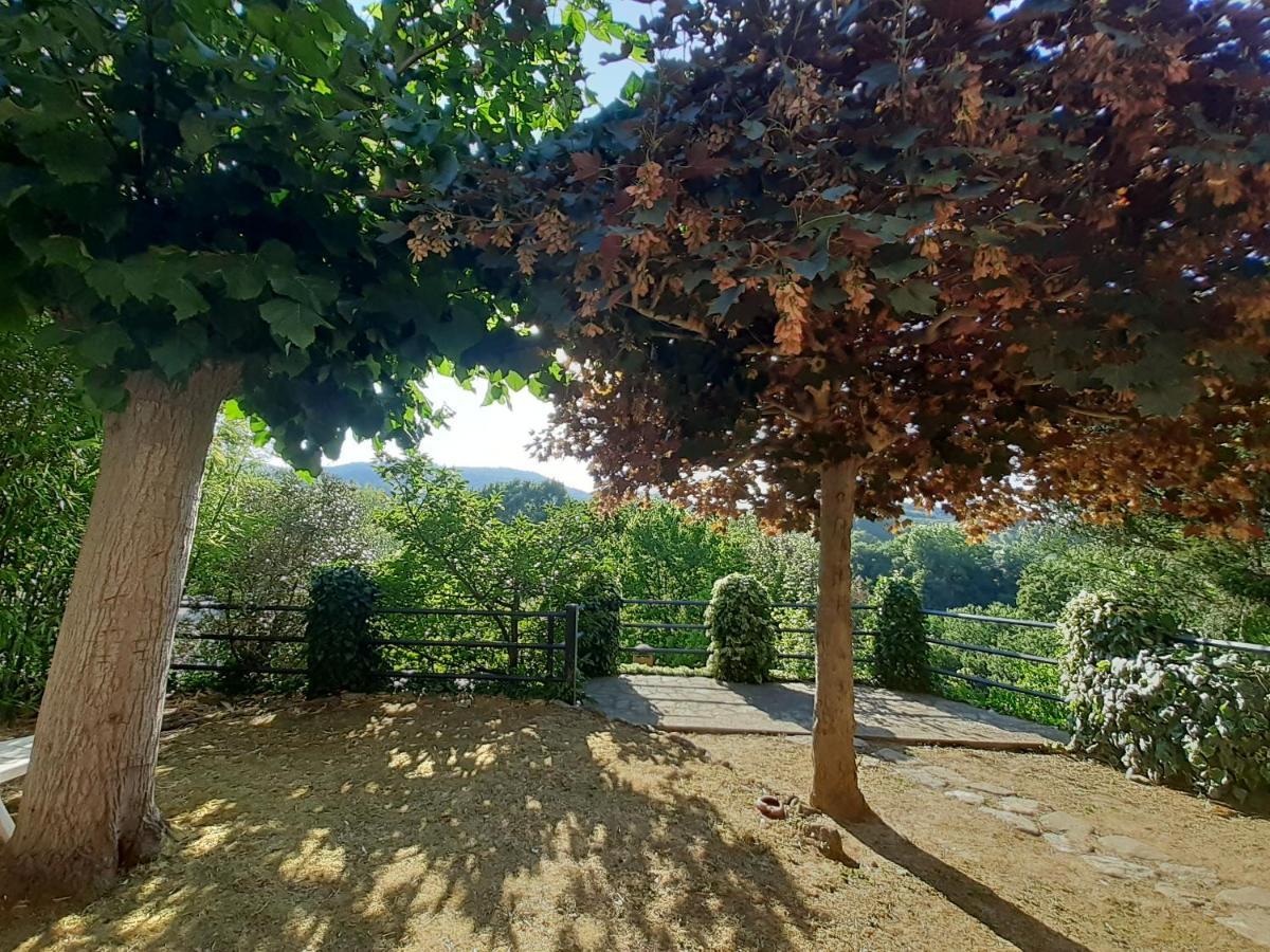Villa Le Palmine Palazzone Εξωτερικό φωτογραφία