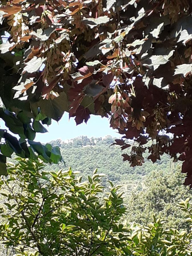 Villa Le Palmine Palazzone Εξωτερικό φωτογραφία