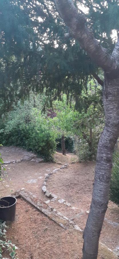 Villa Le Palmine Palazzone Εξωτερικό φωτογραφία