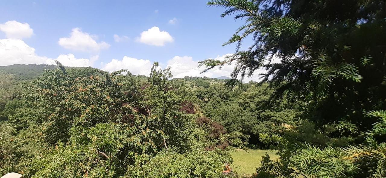 Villa Le Palmine Palazzone Εξωτερικό φωτογραφία