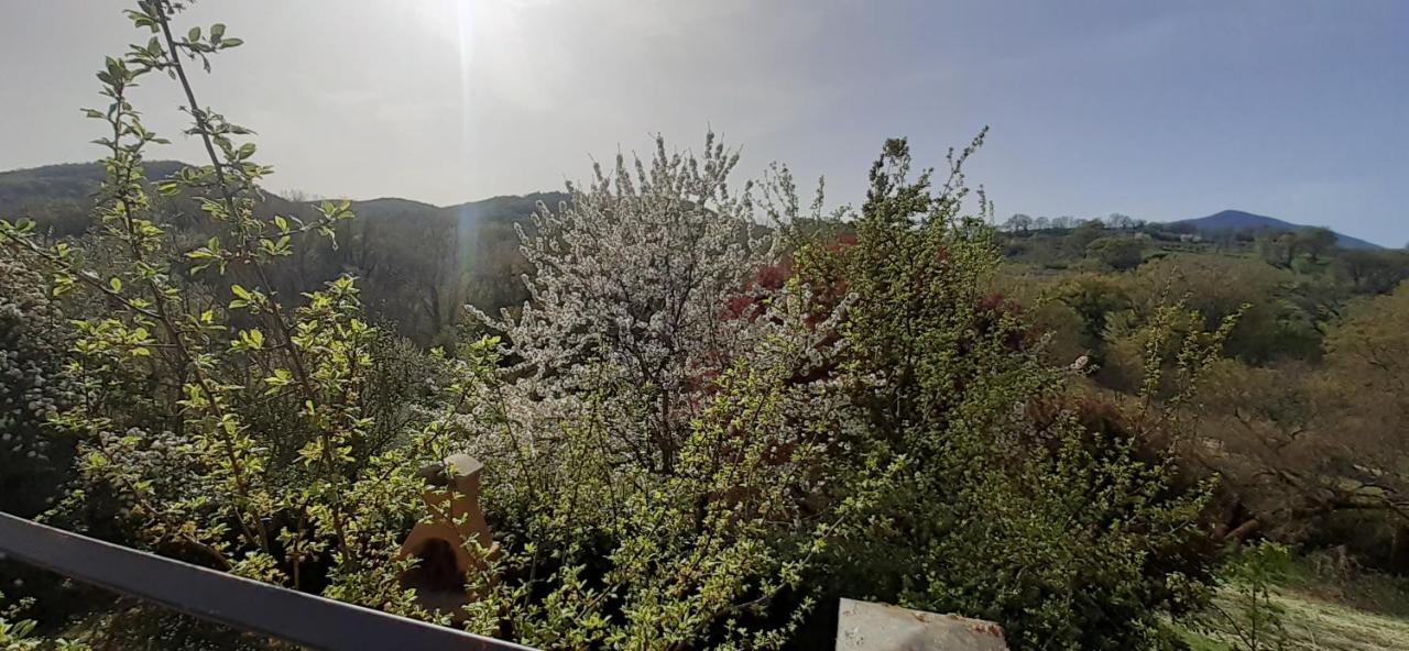 Villa Le Palmine Palazzone Εξωτερικό φωτογραφία
