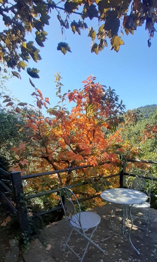 Villa Le Palmine Palazzone Εξωτερικό φωτογραφία